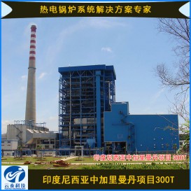 印度尼西亚中加里曼丹项目300T