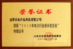 20 1 0年电力行业成长型企业