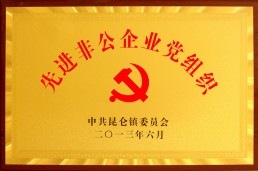 先进非公党组织